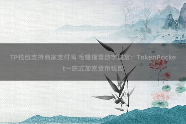 TP钱包支持商家支付吗 毛糙措置数字财富：TokenPocket一站式加密货币钱包