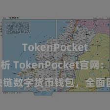 TokenPocket市场分析 TokenPocket官网：区块链数字货币钱包，全面因循多链钞票处罚