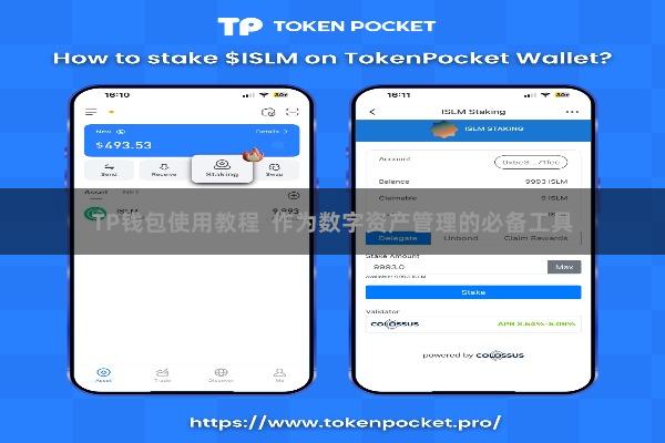 TP钱包使用教程  作为数字资产管理的必备工具